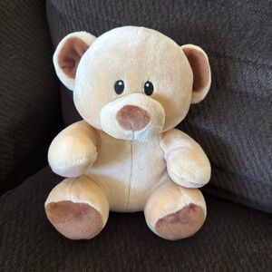 Ty Beanie Bear (Bundles)